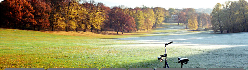 Webbutveckling i strict HTML, XHTML, Flash, PHP mm.